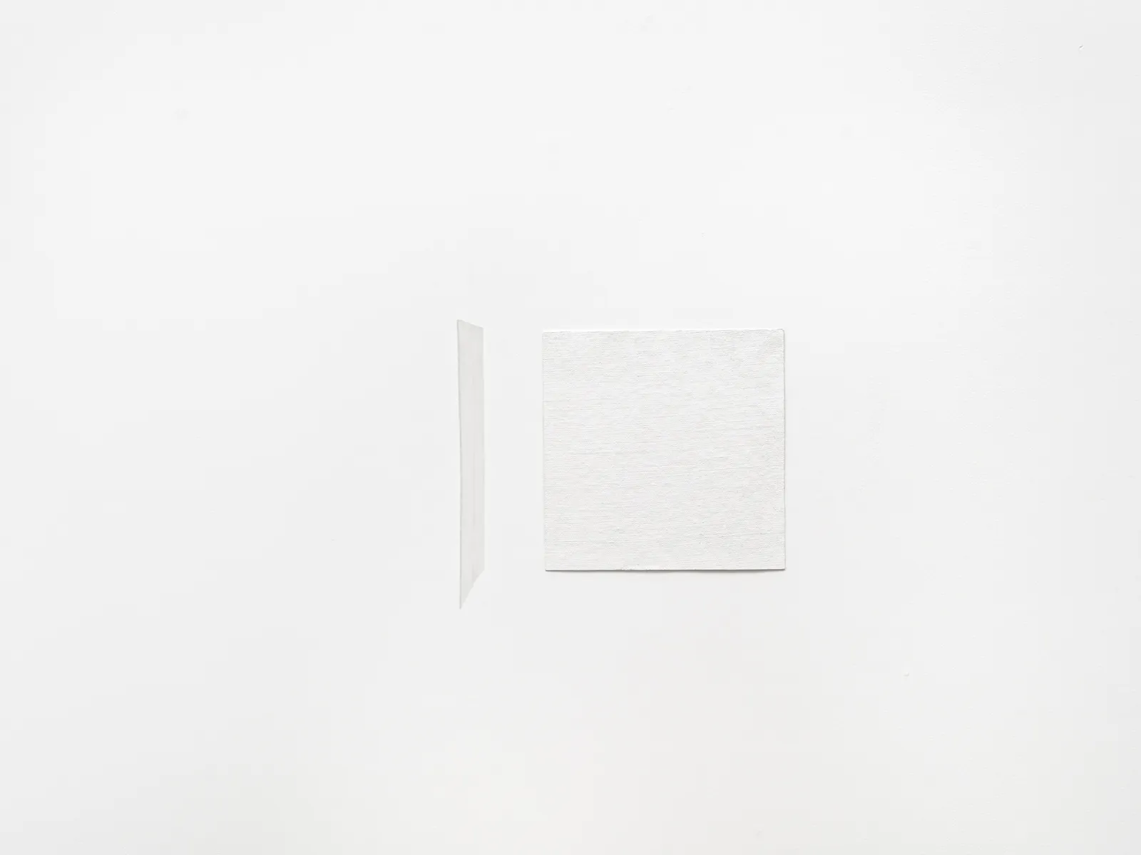 Fernanda Gomes, Untitled (diptych), 2025