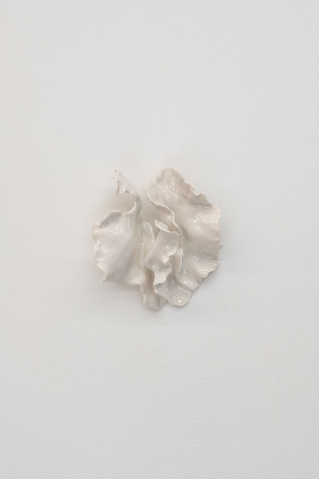 Alina Kopytsia, Flower (white), 2020