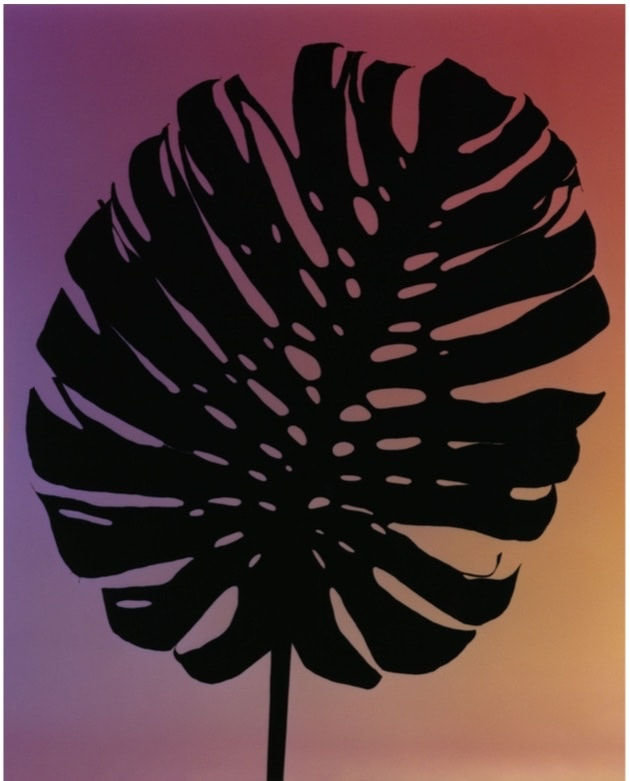 Shirana Shahbazi, Monstera-05, 2014