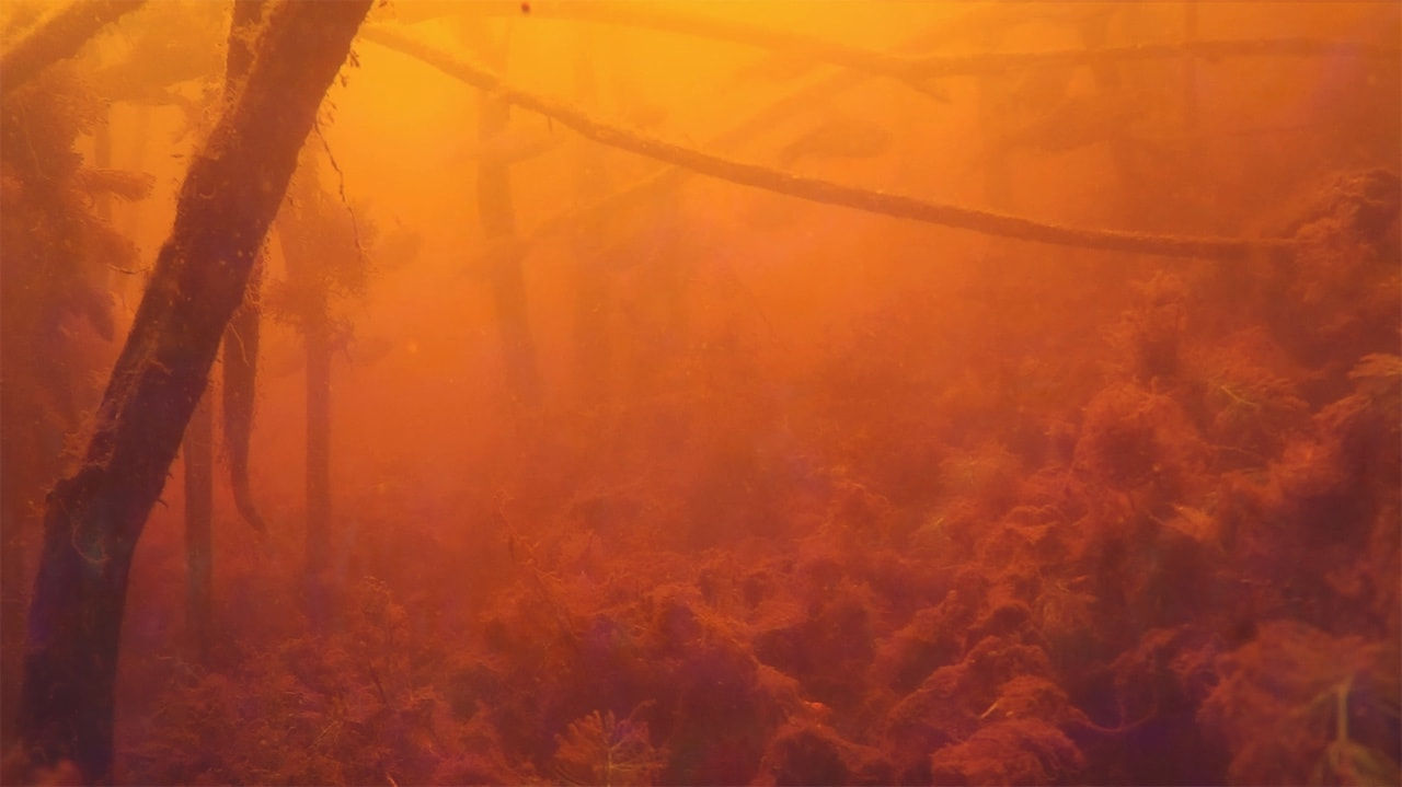 Melanie Smith, Fifteen Minutes of Sublime Meditation, 2021