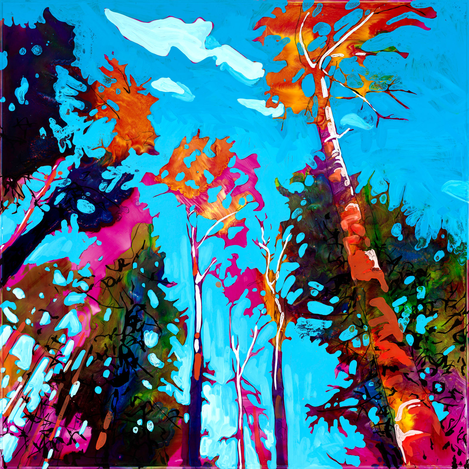 Steve Driscoll, Sun Filtered between Leaves, 2023