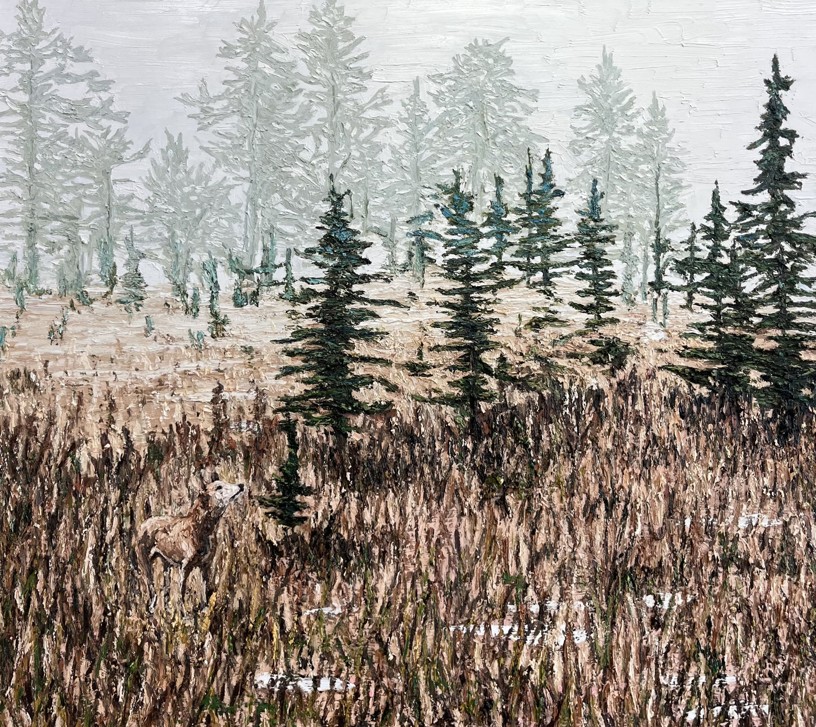 Matt Bahen, The Little Prince, 2025