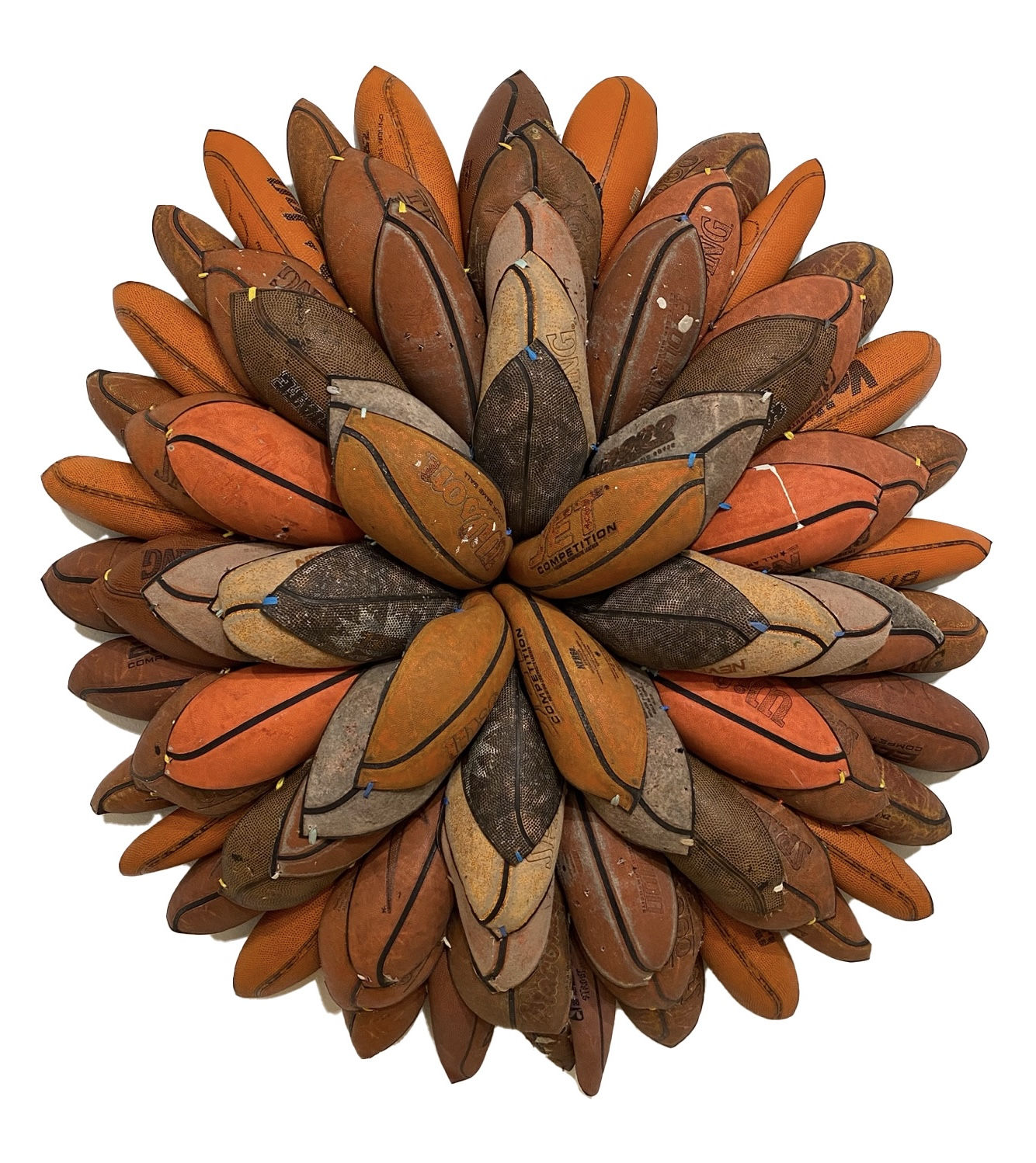 Brandon J. Donahue-Shipp, Basketball Bloom (Jet Competition II), 2024