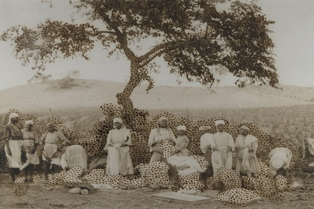 La Vaughn Belle, Swarm (001_2023), 2023