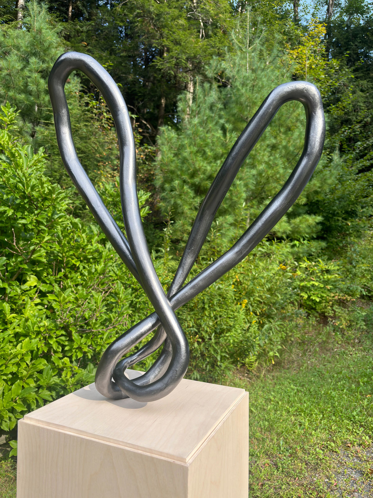 Roberto Pellegrinuzzi, Trajectoire (lièvre 4), 2024