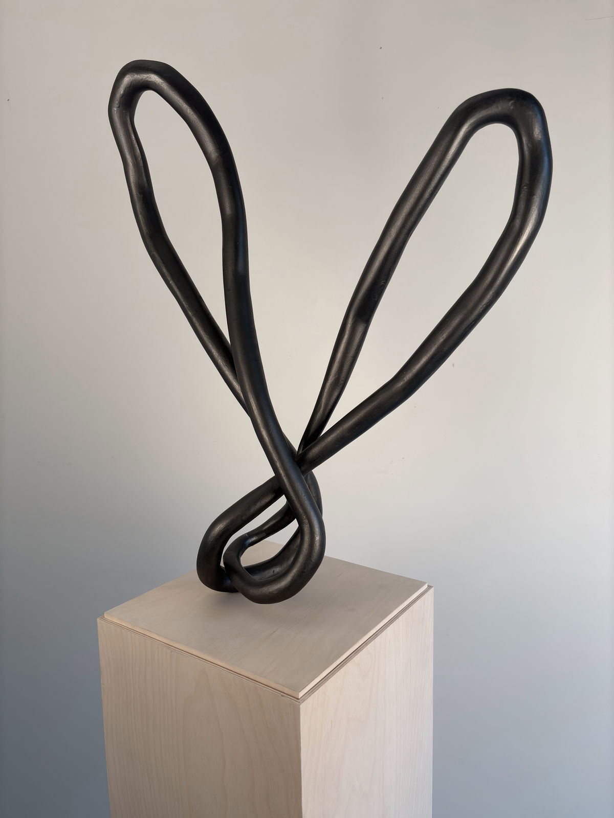 Roberto Pellegrinuzzi, Trajectoire (lièvre 4), 2024