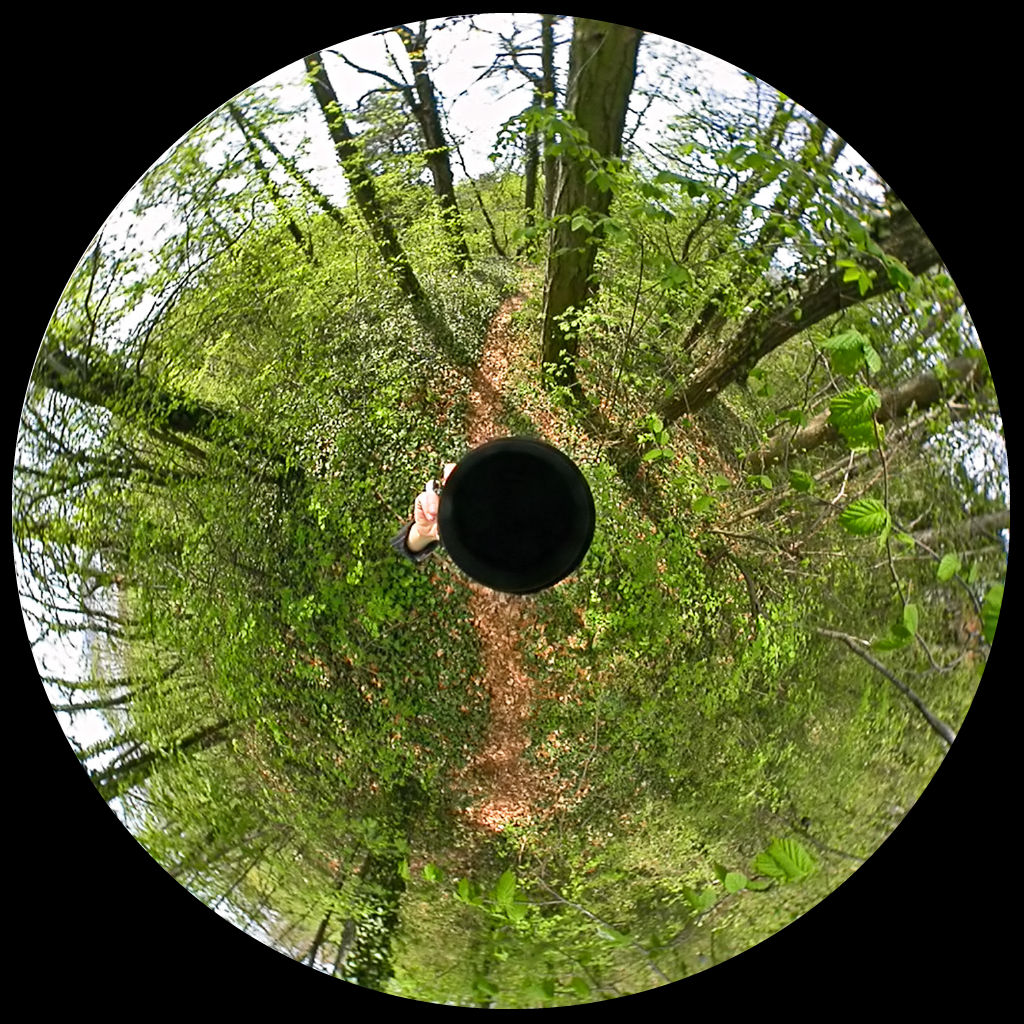 Luc Courchesne, 2004/04/21-4, Iles St-Pierre, 2004