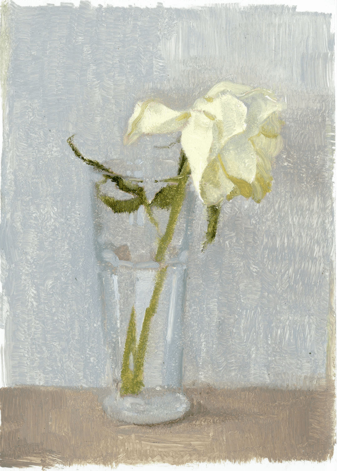 James Lee Chiahan, White Rose (Day 5), 2024