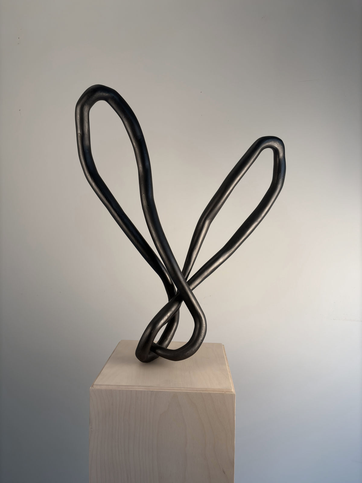 Roberto Pellegrinuzzi, Trajectoire (lièvre 4), 2024