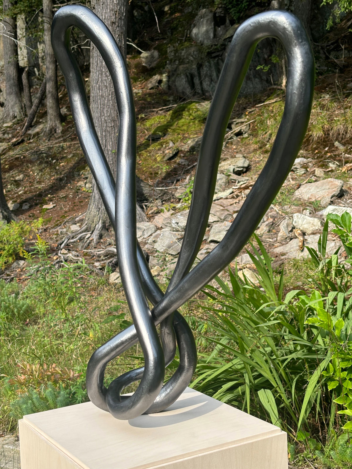 Roberto Pellegrinuzzi, Trajectoire (lièvre 4), 2024