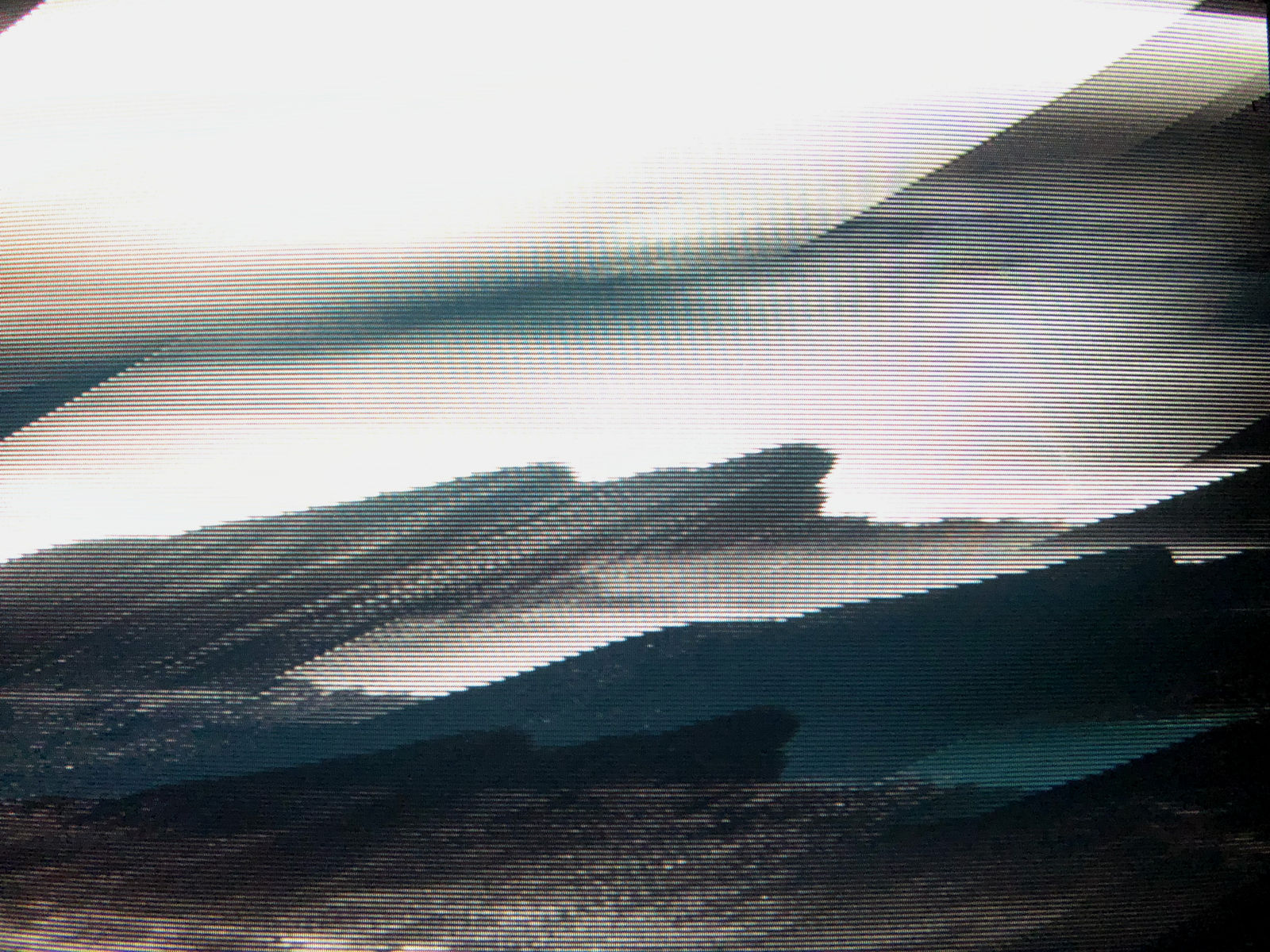 Edward Maloney, Joshua Tree (20 x 27"), 2019