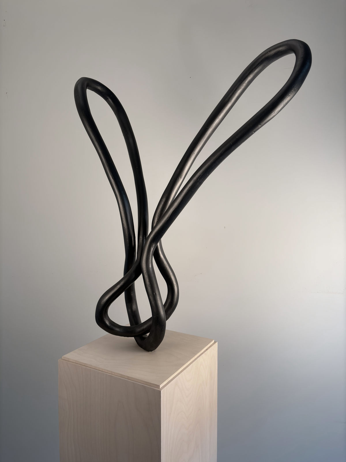Roberto Pellegrinuzzi, Trajectoire (lièvre 5), 2024