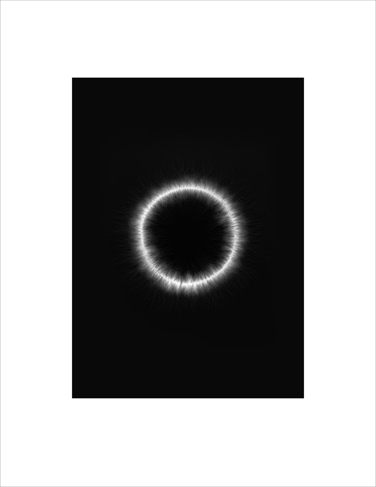 Marie-Jeanne Musiol, Corps de lumière no 26 (Cercle de métal) / Bodies of Light no. 26 (Metal ring), 2024