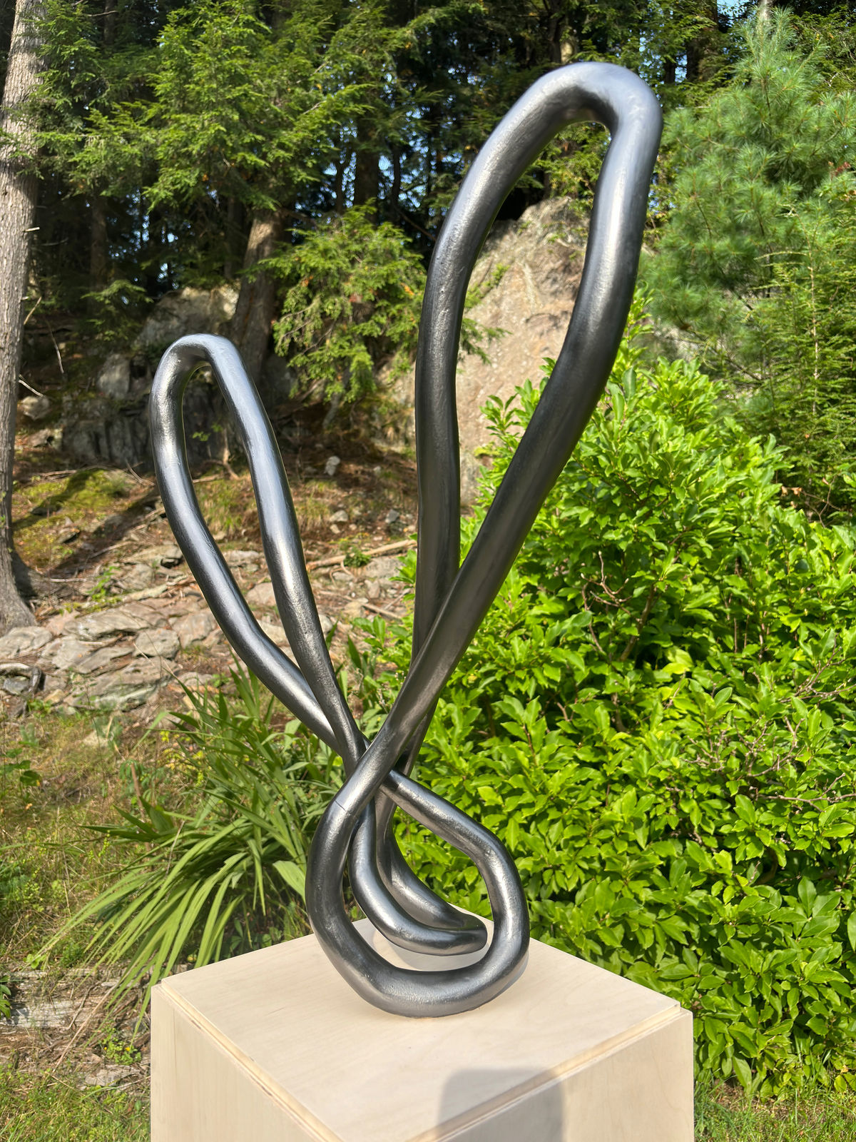 Roberto Pellegrinuzzi, Trajectoire (lièvre 4), 2024