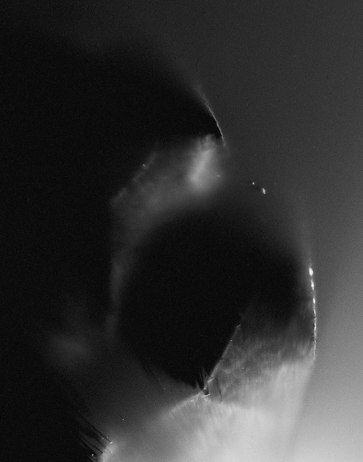 Marie-Jeanne Musiol, Nébuleuses végétales no 10 (Géranium), 2018