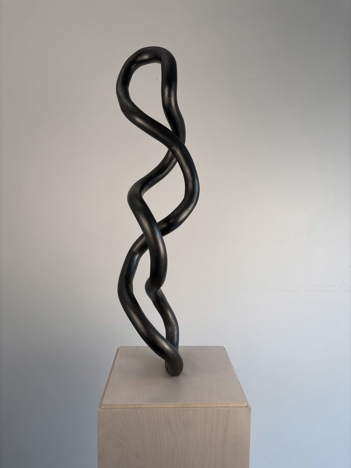 Roberto Pellegrinuzzi, Trajectoire (torsade 6), 2024