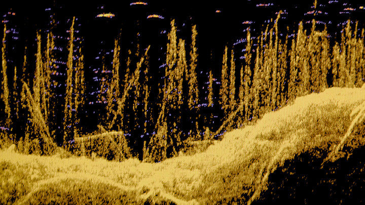 Ludovic Boney, Mémoires ennoyées 3, 2021