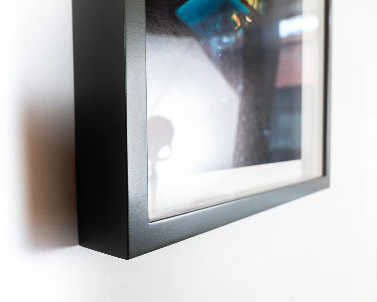 Leila Zelli, Oiseaux, 2019