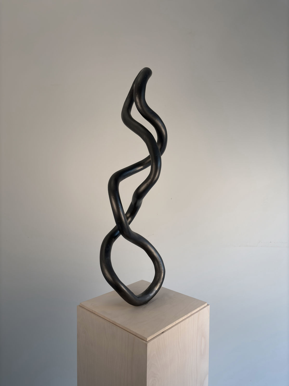 Roberto Pellegrinuzzi, Trajectoire (torsade 6), 2024