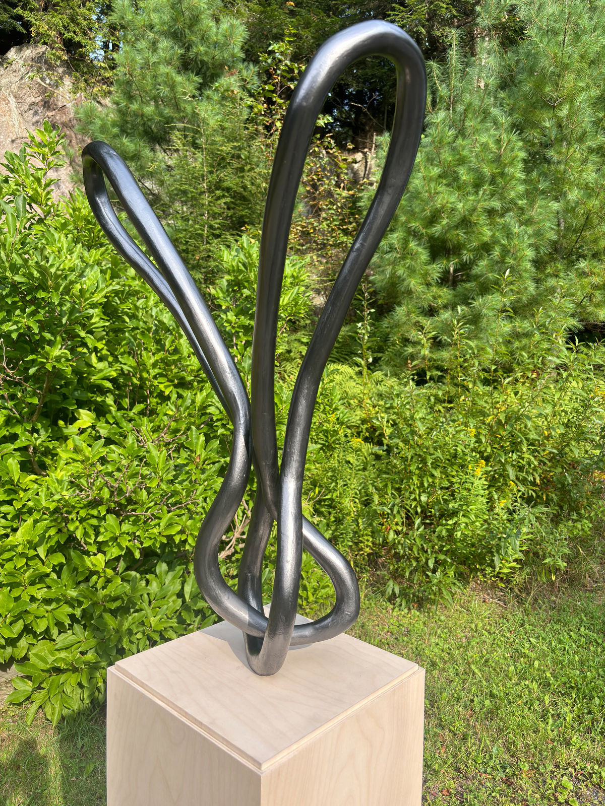 Roberto Pellegrinuzzi, Trajectoire (lièvre 5), 2024