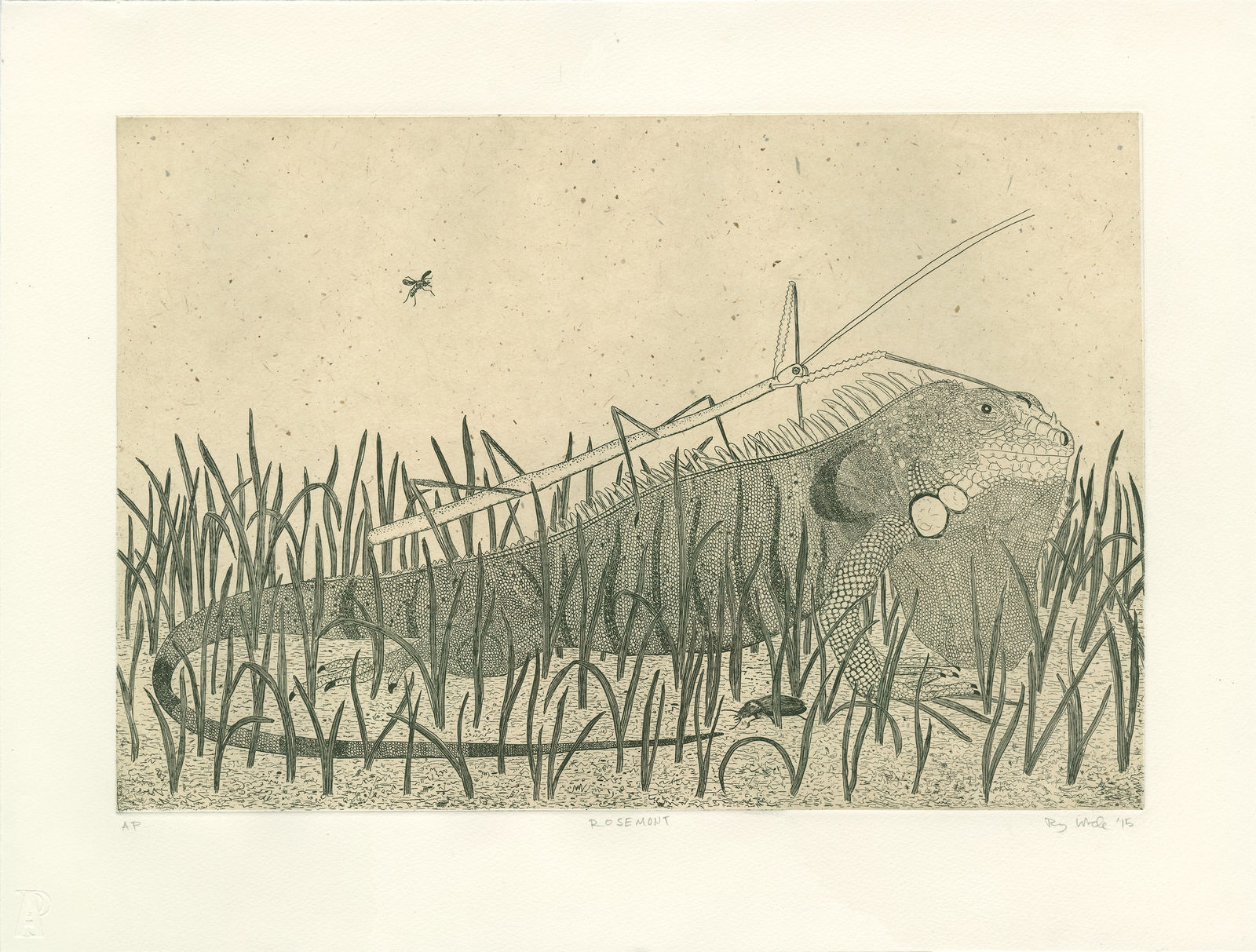 Ripley Whiteside, Rosemont, 2015