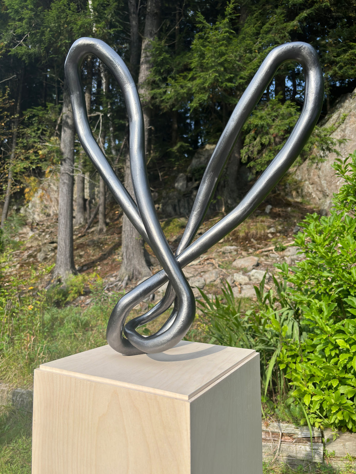 Roberto Pellegrinuzzi, Trajectoire (lièvre 4), 2024