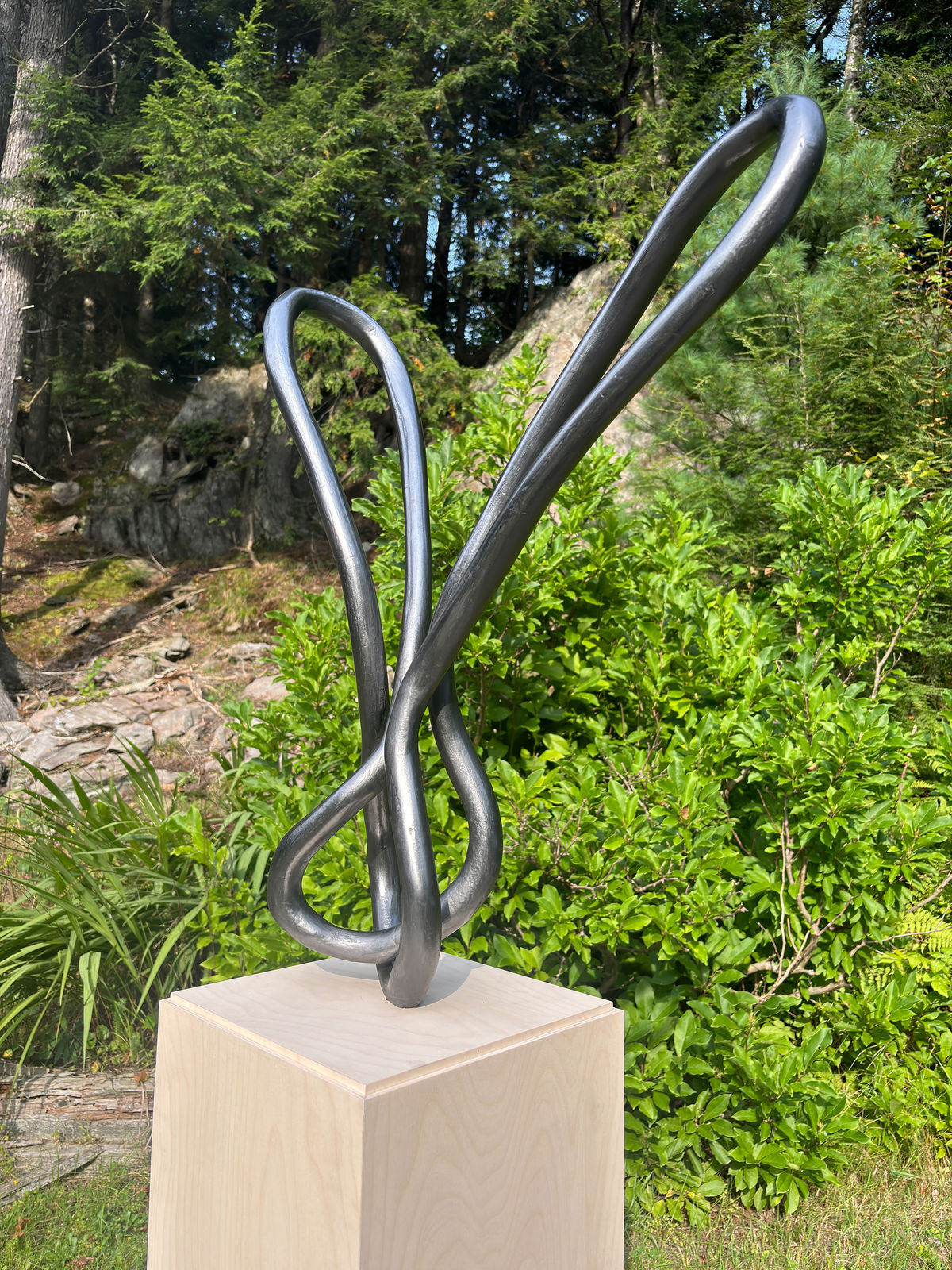 Roberto Pellegrinuzzi, Trajectoire (lièvre 5), 2024