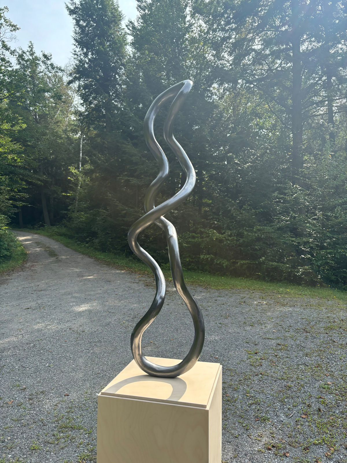 Roberto Pellegrinuzzi, Trajectoire (torsade 7), 2024