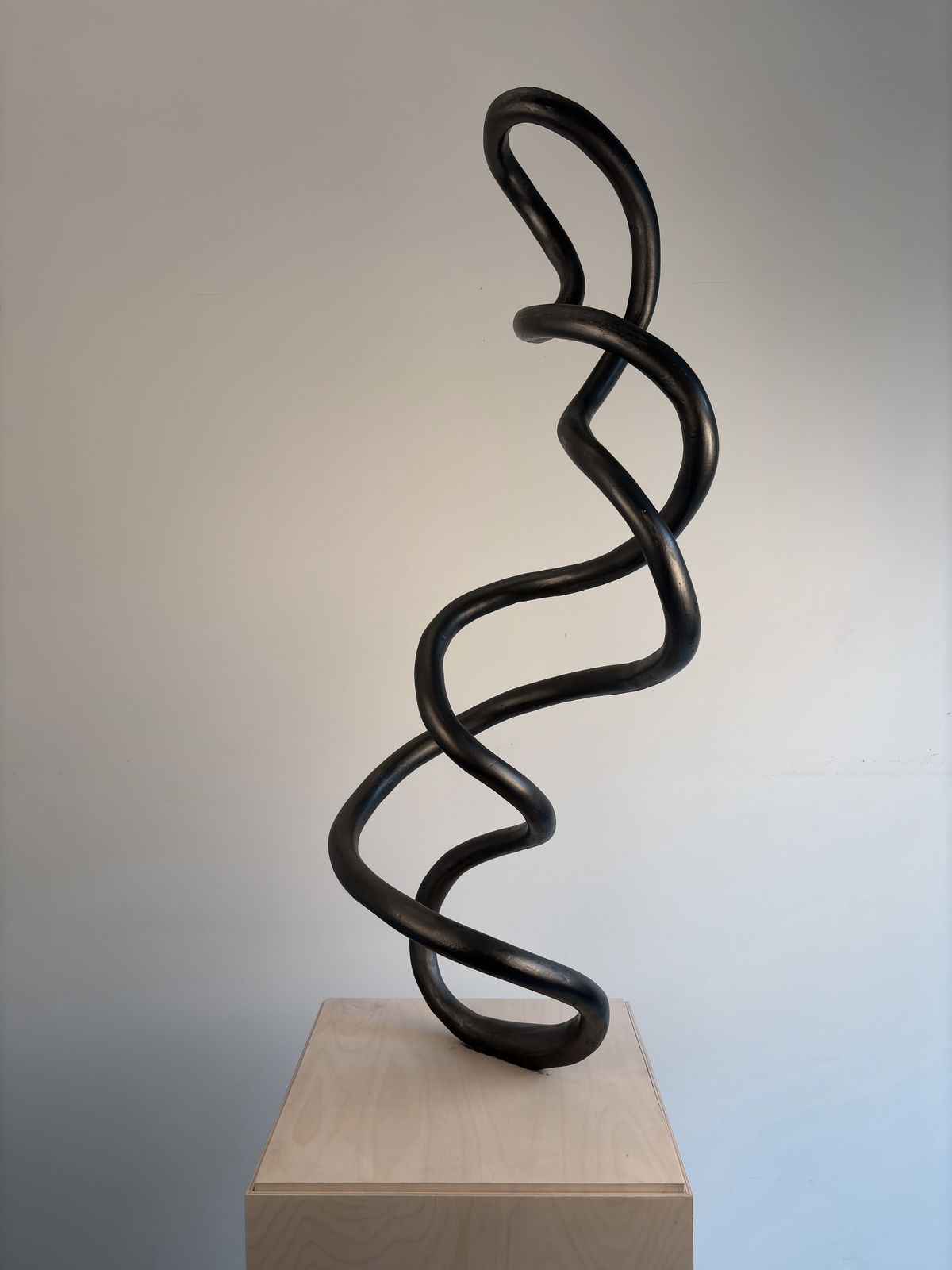 Roberto Pellegrinuzzi, Trajectoire (torsade 5), 2024