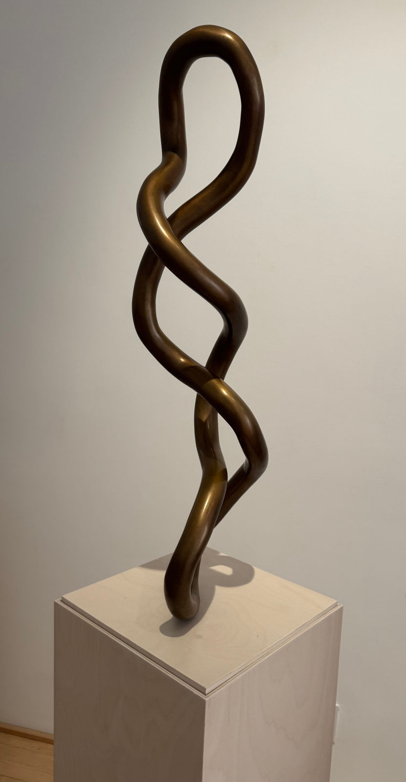 Roberto Pellegrinuzzi, Trajectoires (Torsade 5), 2025