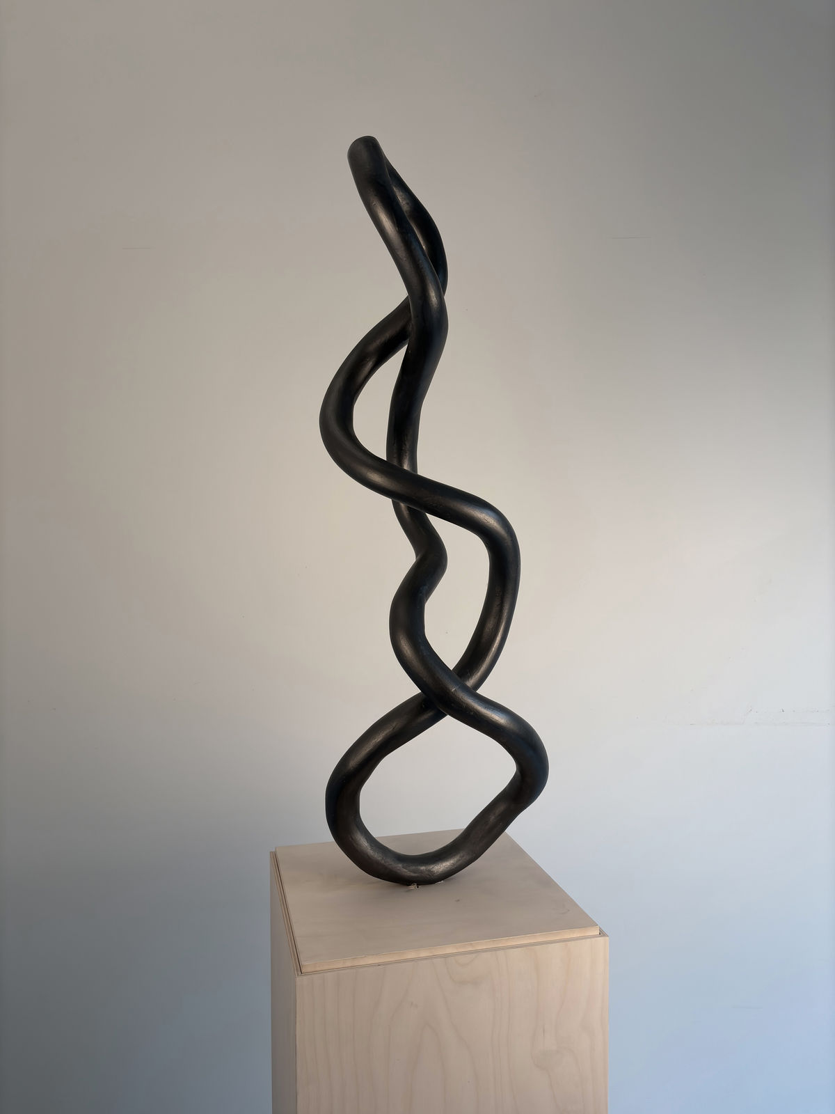 Roberto Pellegrinuzzi, Trajectoire (torsade 7), 2024