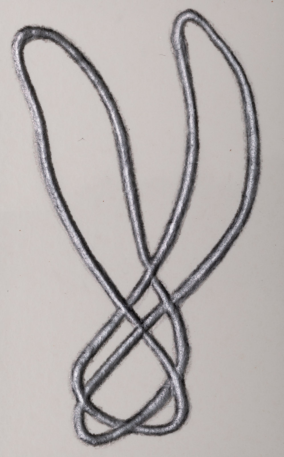 Roberto Pellegrinuzzi, Trajectoire ( lièvre 1)