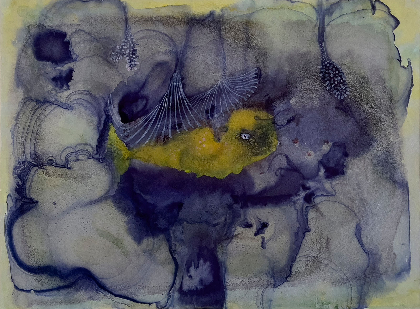 Ed Pien, Staying out of Sight, 2023 - 2024