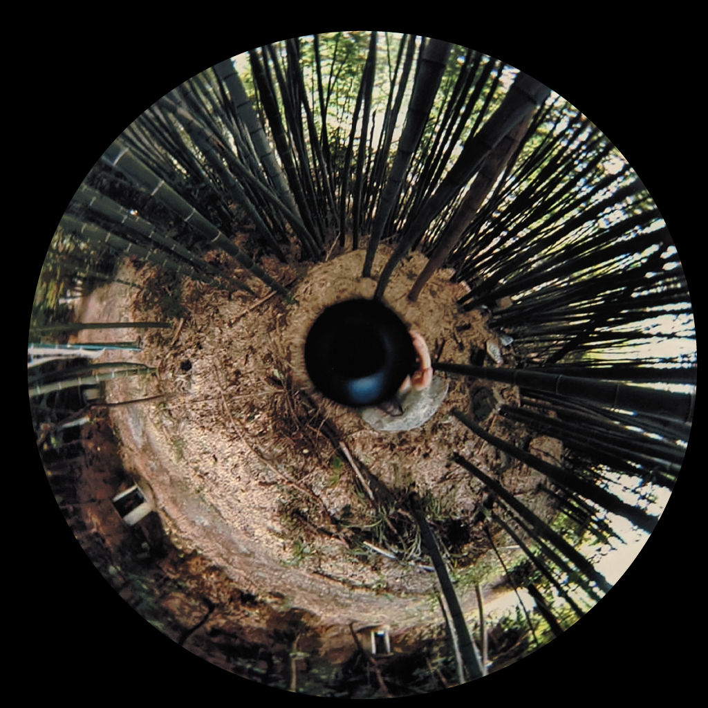 Luc Courchesne, 2000/11/03-3, Sekihagara, 2000