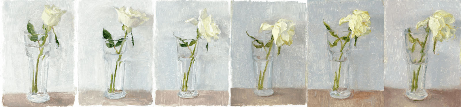 James Lee Chiahan, White Rose (Day 8), 2024