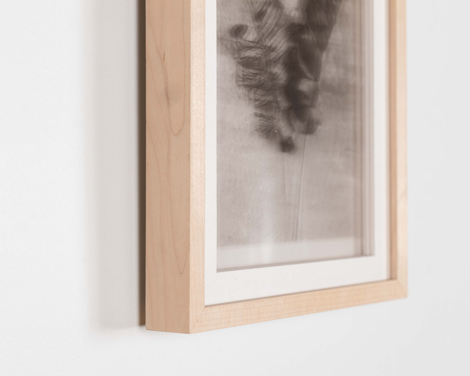 Roberto Pellegrinuzzi, Constellations (Fougère ll), 2011