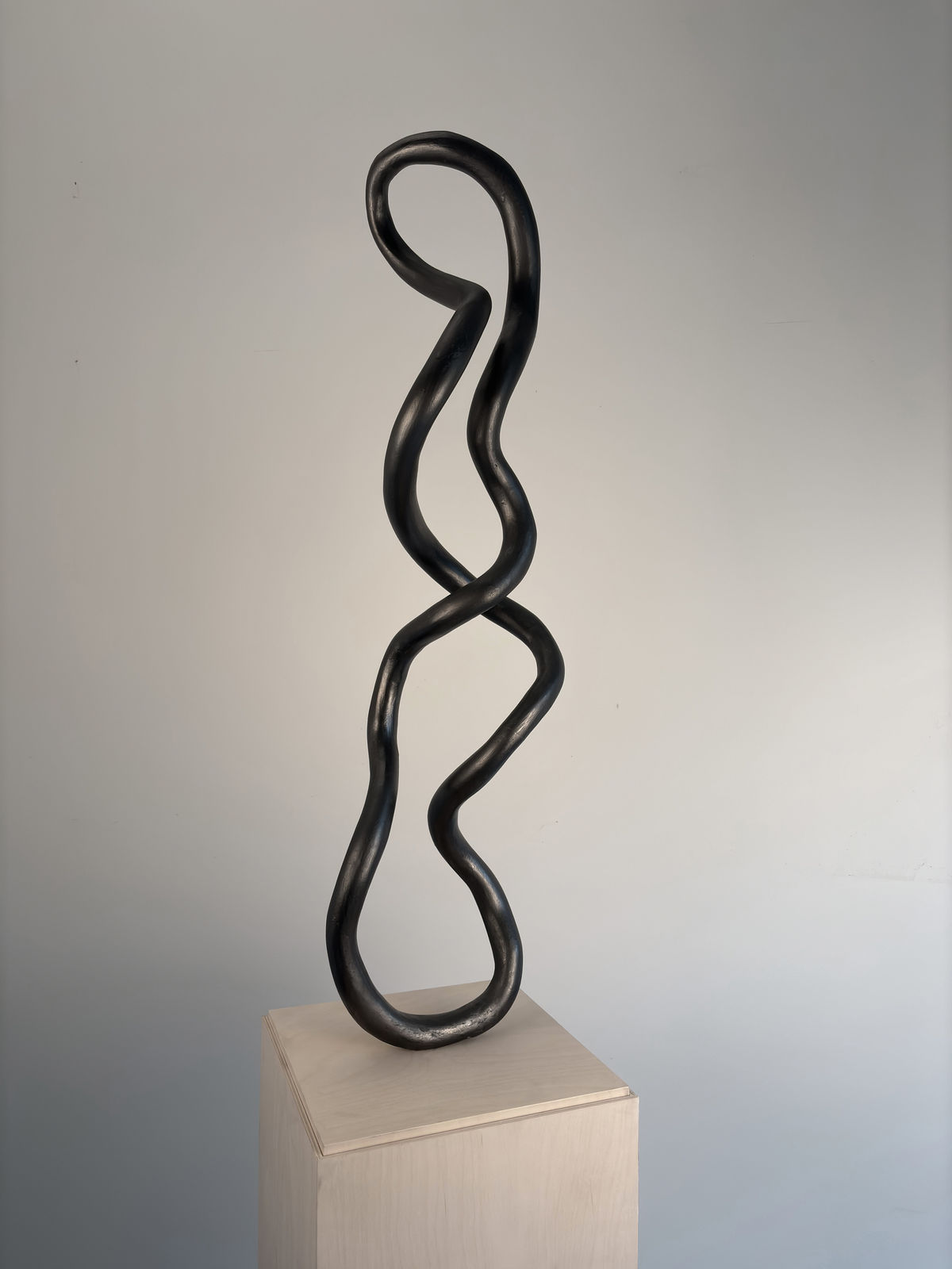 Roberto Pellegrinuzzi, Trajectoire (torsade 7), 2024