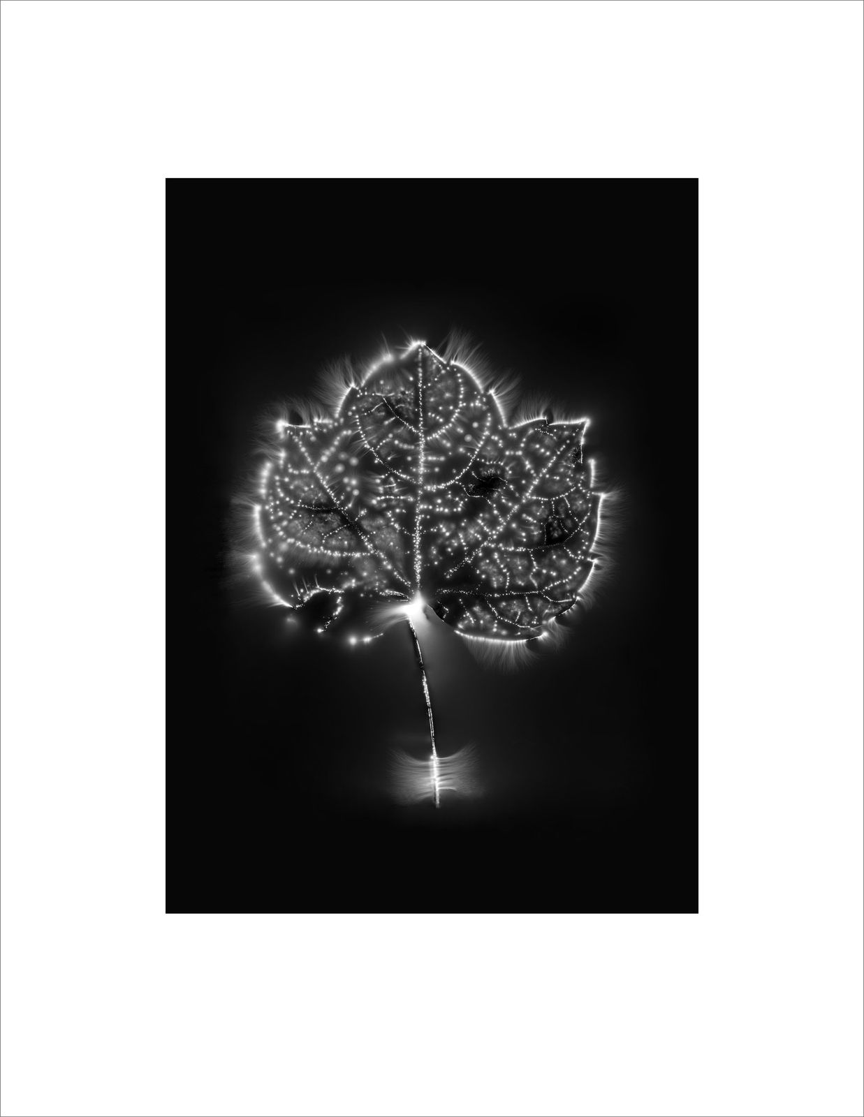 Marie-Jeanne Musiol, Corps de lumière no 193 + 197 + 198 (Vigne) / Bodies of Light no. 193 + 197 + 198 (Vine), 2024