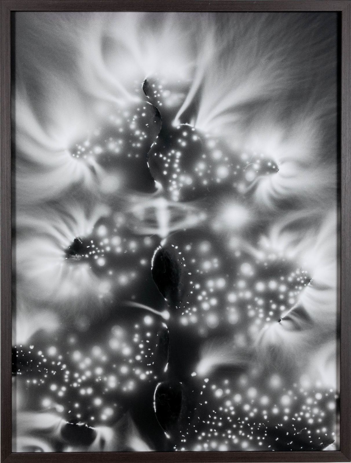 Marie-Jeanne Musiol, Nébuleuses végétales no 6 (Fougère), 2018