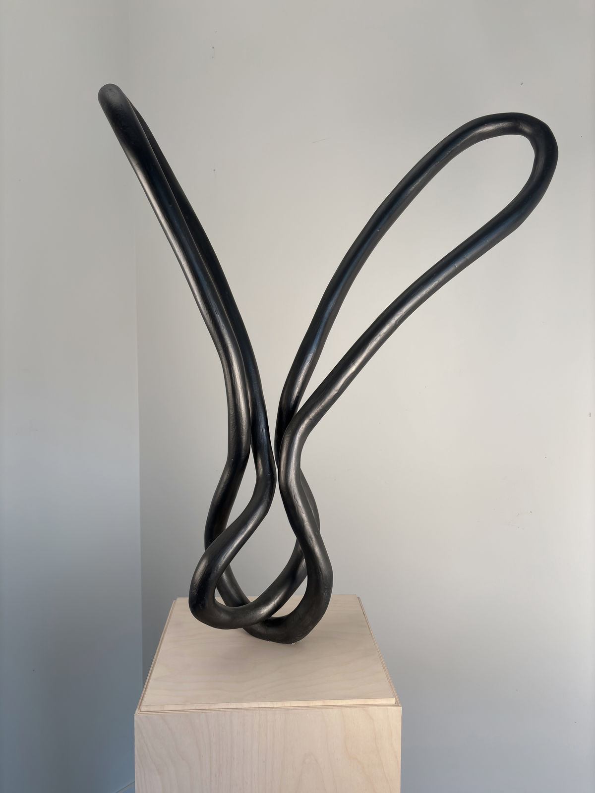Roberto Pellegrinuzzi, Trajectoire (lièvre 5), 2024