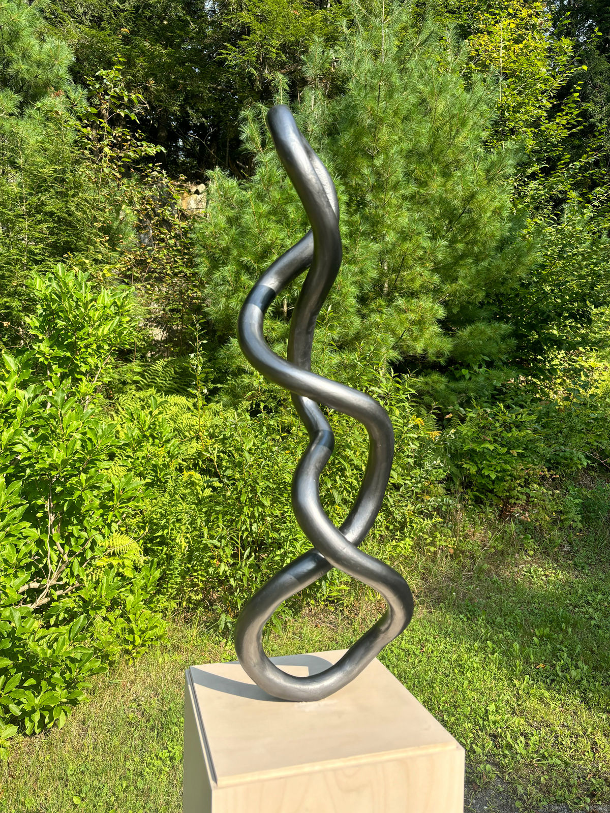 Roberto Pellegrinuzzi, Trajectoire (torsade 6), 2024