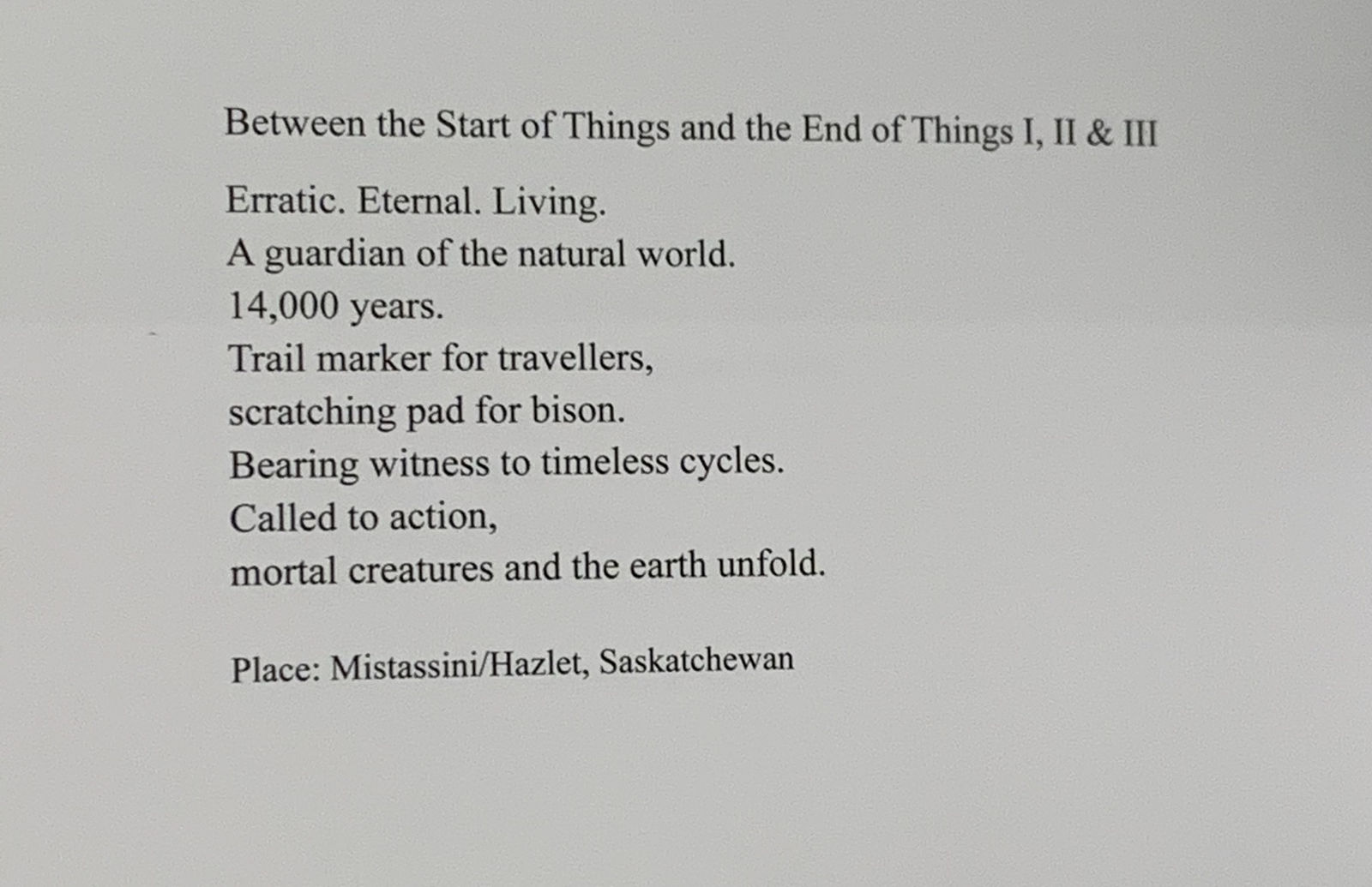 Meryl McMaster, Between the Start of Things and the End of Things , 2019