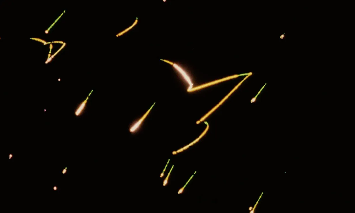 Pat O’Neill, Coreopsis, 1998