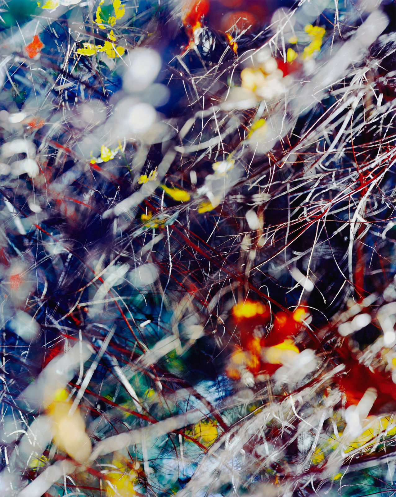 Michael Wesik, Forest Thicket, Composition No. 4, 2023