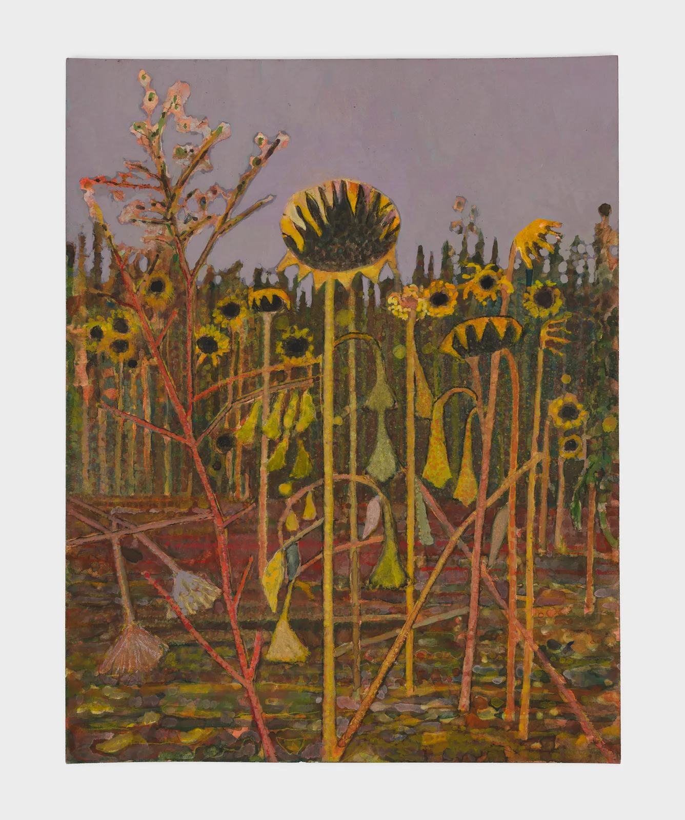 Sky Glabush, Warm Light, Cold Air, 2023