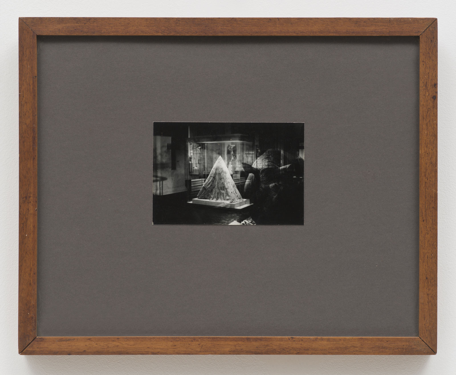 Pat O’Neill, Untitled (Rhinoceros), 1985