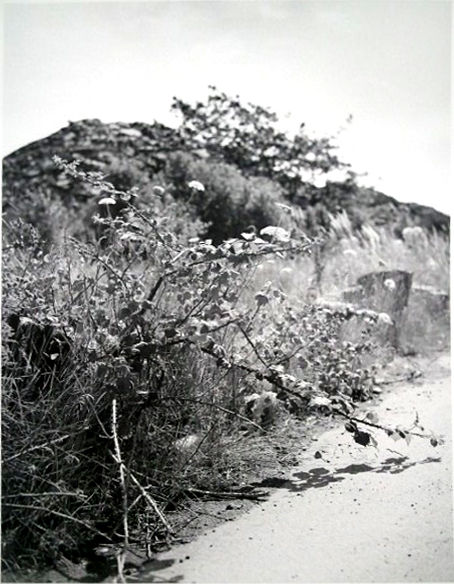 Lewis Baltz, Near Songhees Road #2 (Canadian Series), 1985