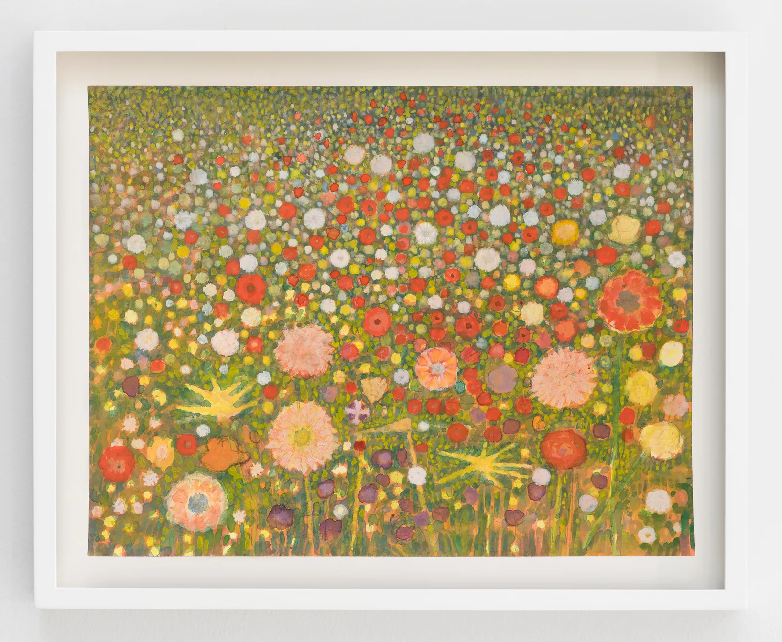 Sky Glabush, Wild Poppies (Belgium), 2026