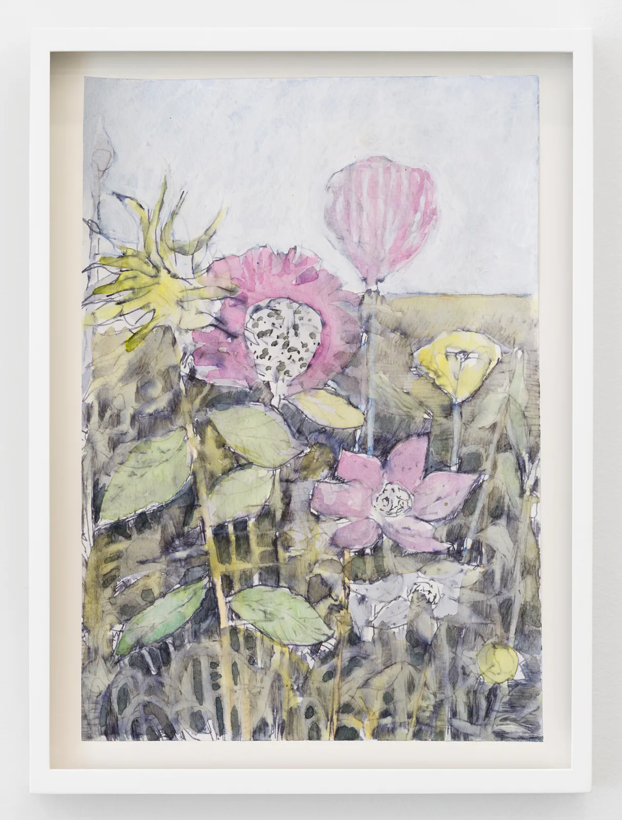 Sky Glabush, Poppy (Study), 2026