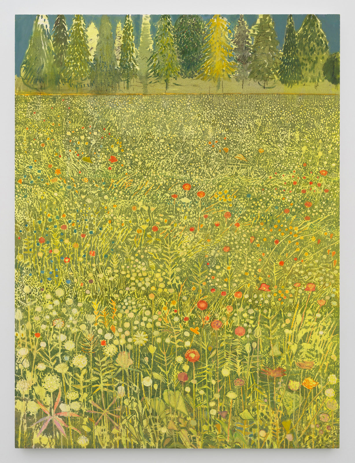 Sky Glabush, Wildflower Field, 2025